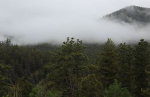 View from Brown's Creek Trail