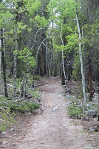 Brown's Creek Trail, the EZ part